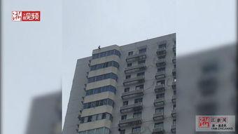 石家庄天苑爆料案件最新,揭秘背后惊人真相  第1张